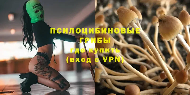 Галлюциногенные грибы MAGIC MUSHROOMS  Гвардейск 